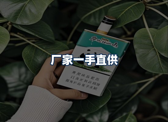 专业团队办公环境